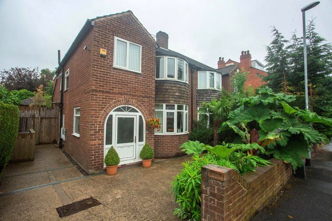 Chủ nhà Anh dành 20 năm biến sân sau thành rừng nhiệt đới