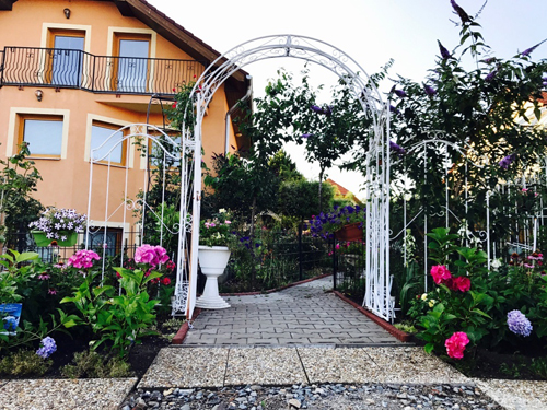 Cô chủ nhà hàng biến 600 m2 đất sỏi đá thành vườn hồng đủ màu